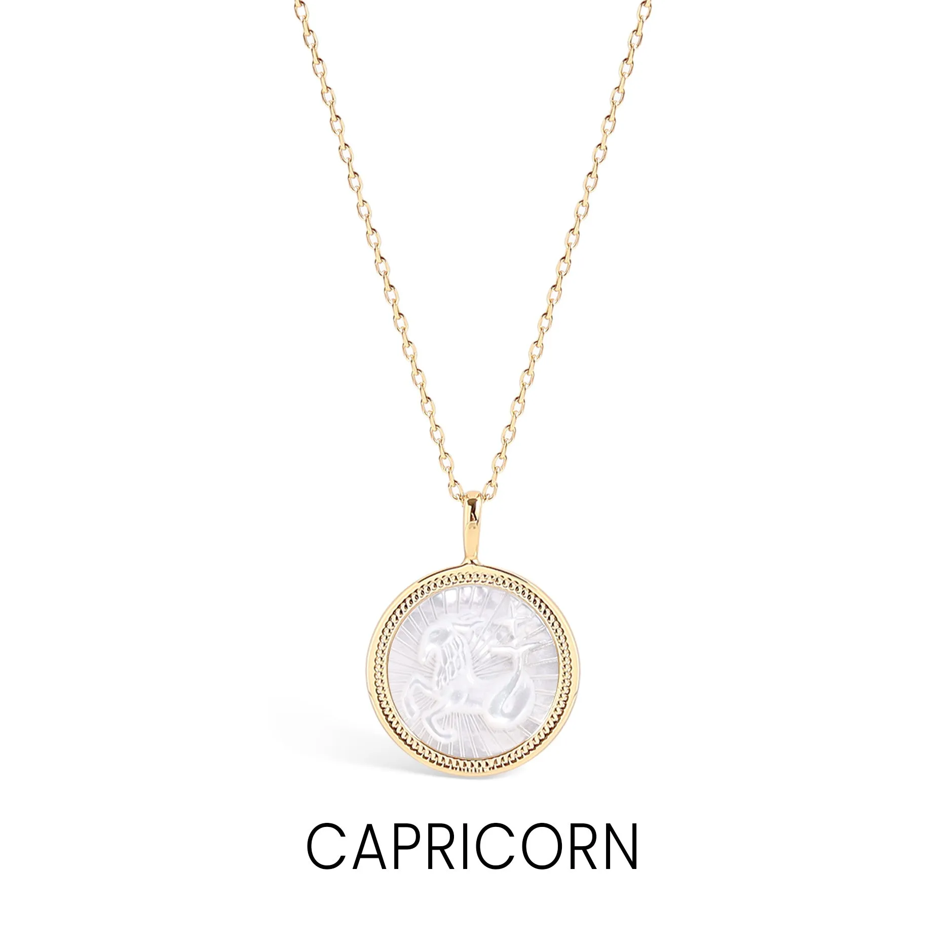 14K Gold Plated Sterling Silver Mother of Pearl Zodiac Pendant Necklace / SBB0354